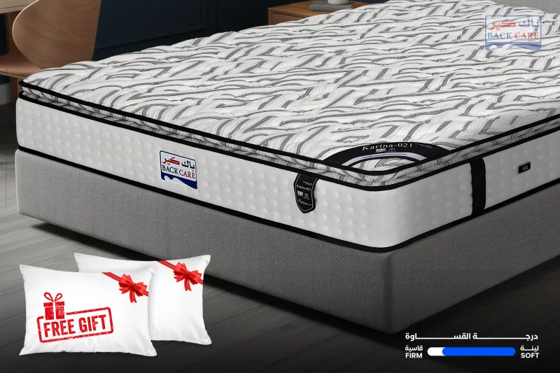 Karina Mattress (10 years warranty)