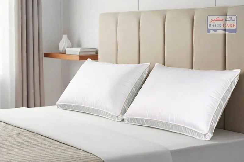 وسادة رويال B.C